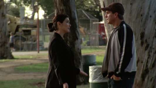 The Shield - Backdrop