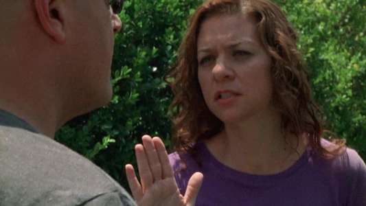 The Shield - Backdrop