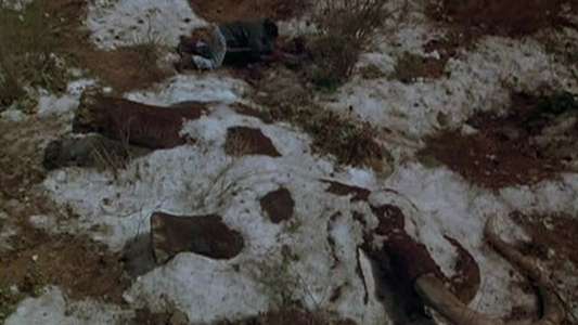 Northern Exposure - Backdrop