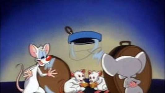 Pinky and the Brain - Backdrop