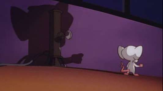 Pinky and the Brain - Backdrop