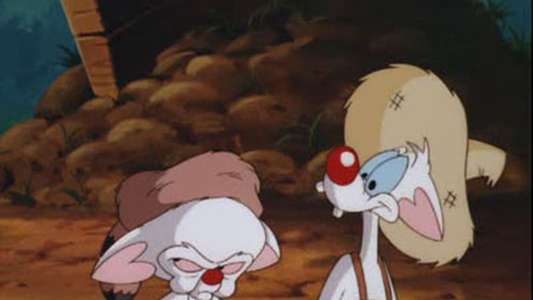 Pinky and the Brain - Backdrop