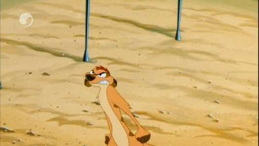 Timon & Pumbaa - Backdrops
