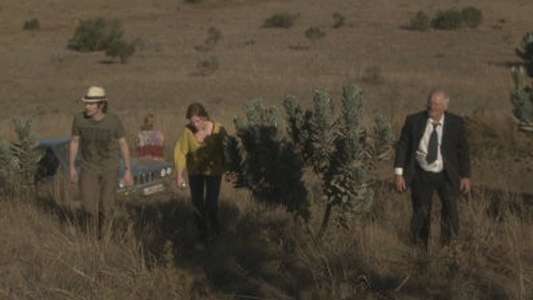 Silent Witness - Backdrop