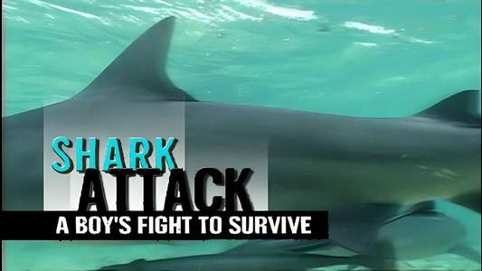 Shark Week - Backdrops