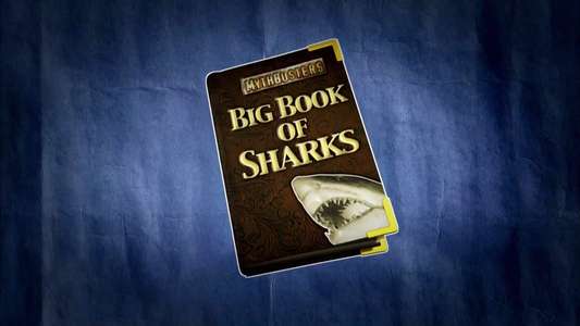 Shark Week - Backdrops