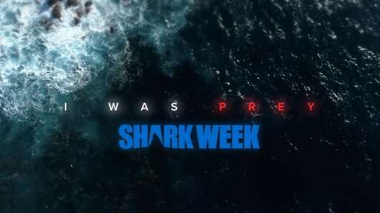Shark Week - Backdrops