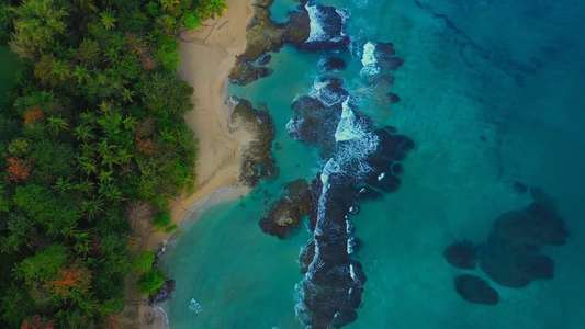 Shark Week - Backdrops