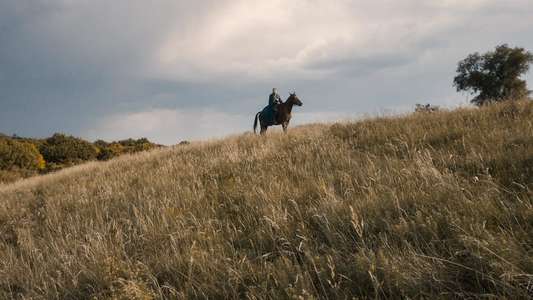 The Last Kingdom - Backdrops