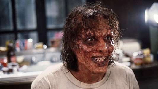 The Fly - Backdrop