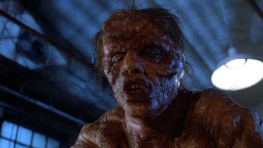 The Fly - Backdrop