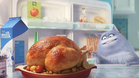 The Secret Life of Pets - Backdrops