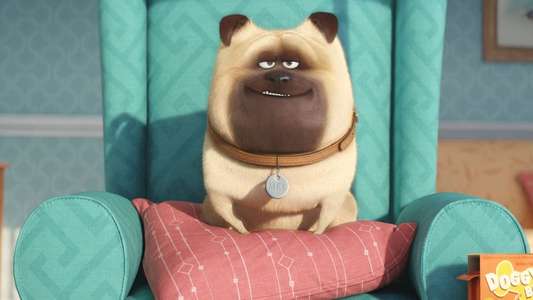 The Secret Life of Pets - Backdrops
