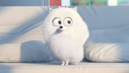 The Secret Life of Pets - Backdrops