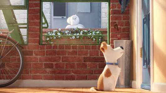 The Secret Life of Pets - Backdrops