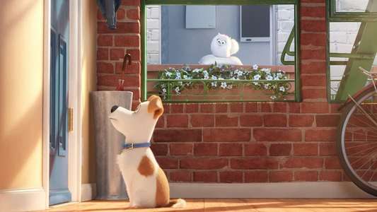 The Secret Life of Pets - Backdrops