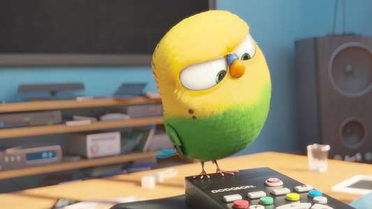The Secret Life of Pets - Backdrops