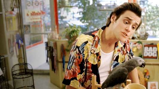 Ace Ventura: Pet Detective - Backdrop