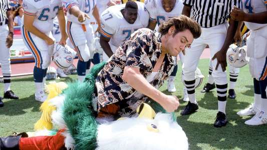 Ace Ventura: Pet Detective - Backdrop