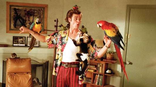 Ace Ventura: Pet Detective - Backdrop