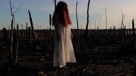 The Girl in the Cornfield - Backdrop