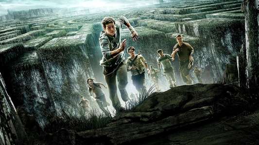 The Maze Runner - Backdrops