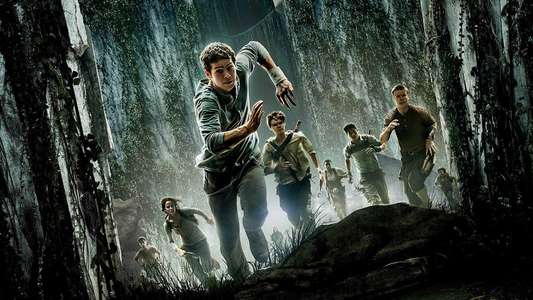 The Maze Runner - Backdrops