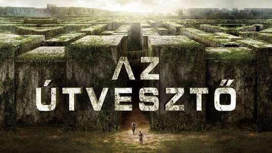 The Maze Runner - Backdrops