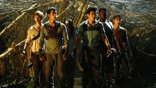 The Maze Runner - Backdrops
