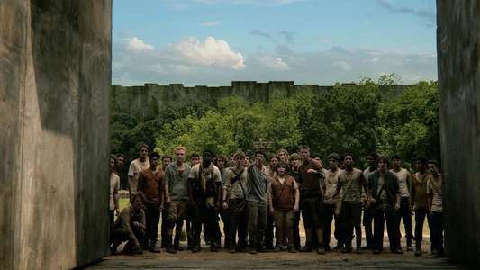 The Maze Runner - Backdrops