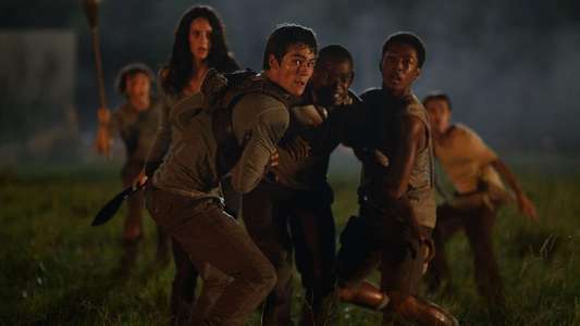 The Maze Runner - Backdrops