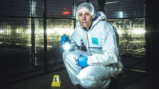 Forensics: The Real CSI - Backdrops