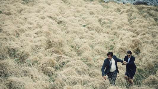 The Lobster - Backdrop
