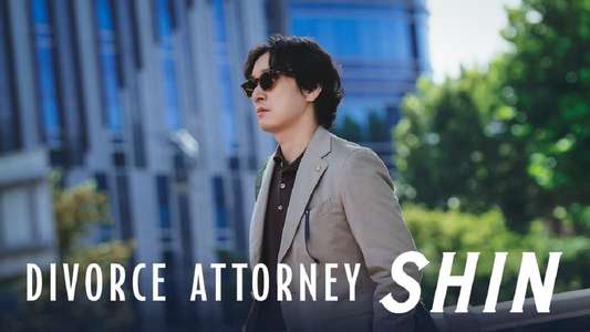 Divorce Attorney Shin - Backdrop