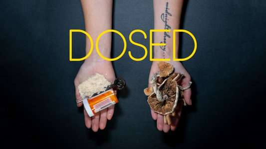 Dosed - Backdrop