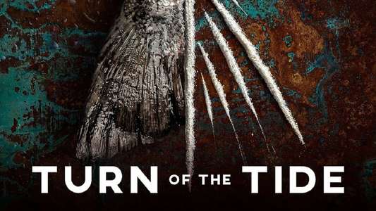Turn of the Tide - Backdrops