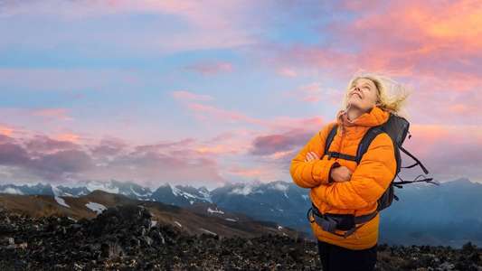 Wild Life - Backdrops