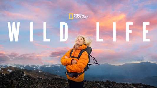 Wild Life - Backdrops
