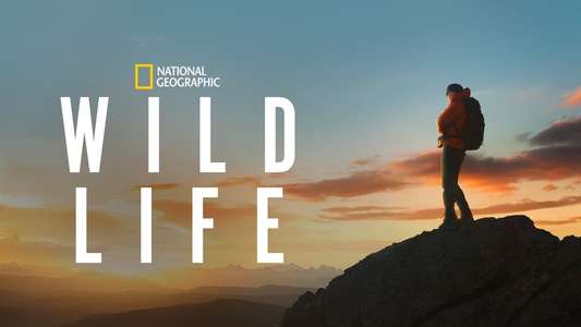Wild Life - Backdrops