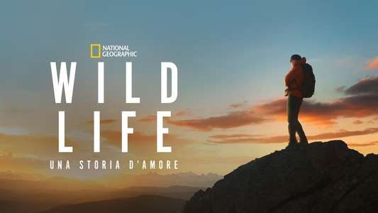 Wild Life - Backdrops
