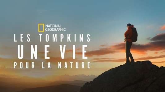 Wild Life - Backdrops