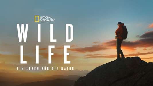 Wild Life - Backdrops