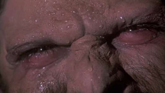 Howling II: Stirba - Werewolf Bitch - Backdrop
