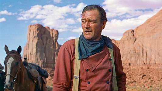 The Searchers - Backdrop