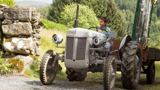 Little Grey Fergie Saves The Farm - Backdrop
