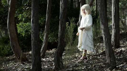 The Clearing - Backdrops