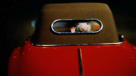Stuart Little - Backdrop