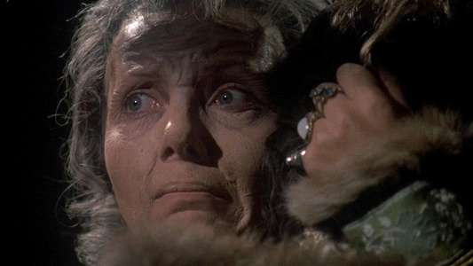 Countess Dracula - Backdrop