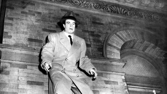 The Killer That Stalked New York - Backdrop