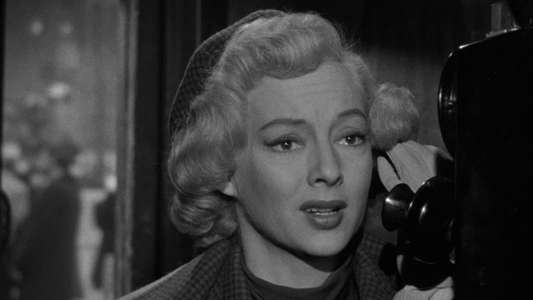 The Killer That Stalked New York - Backdrop